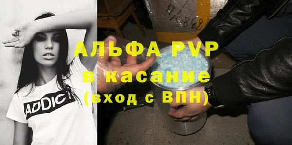 амф Верея