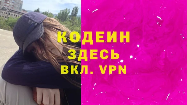 спиды Бородино