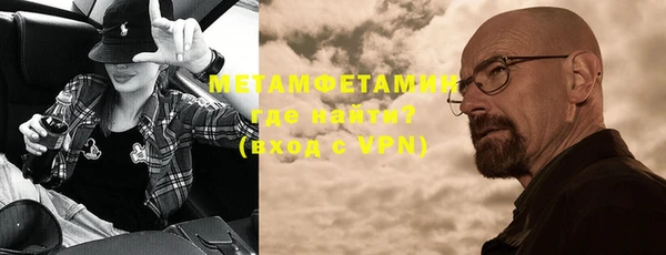 прущие грибы Верхний Тагил