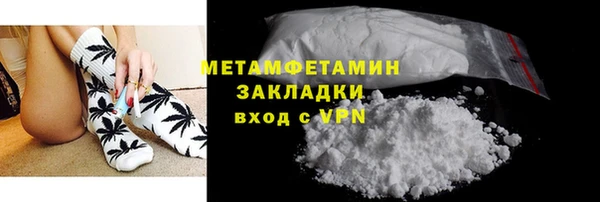прущие грибы Верхний Тагил