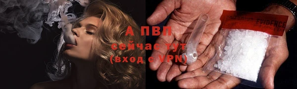 амф Верея