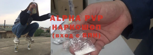 прущие грибы Верхний Тагил