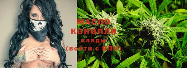 индика Нязепетровск