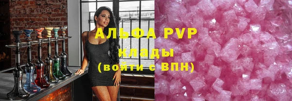 амф Верея