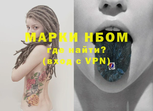 прущие грибы Верхний Тагил