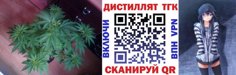 ТГК концентрат закладки Голицыно
