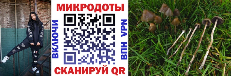 Галлюциногенные грибы MAGIC MUSHROOMS  Голицыно 